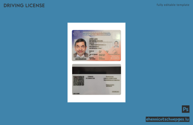 Beispiel für einen Führerschein der Dominikanischen Republik (Vorschau)